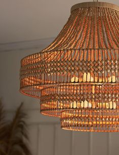 a chandelier hanging from the ceiling in a room with a potted plant