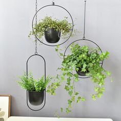 three hanging planters with plants in them on a wall next to a white table