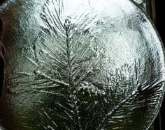 a frosted glass plate with a plant on it's side, in front of a window