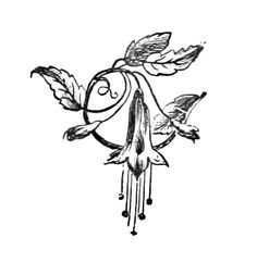 a black and white drawing of a bird with leaves on it's back end