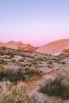 the sun is setting in the desert with grass and bushes