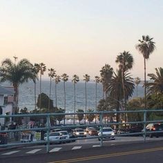 cars are parked on the side of the road by the ocean and palm trees in the background