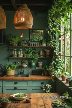 a kitchen filled with lots of green plants and potted plants on the counter top