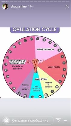 the ovulation cycle is shown in pink and blue, with words on it