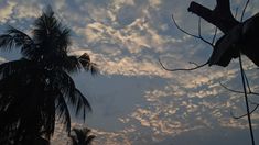 the sky is filled with clouds and palm trees are silhouetted against the setting sun