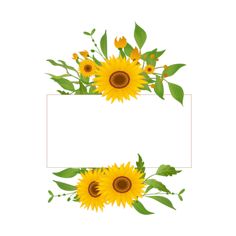 two sunflowers with green leaves are shown in the center of an empty sign