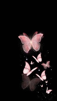 several pink butterflies flying in the dark