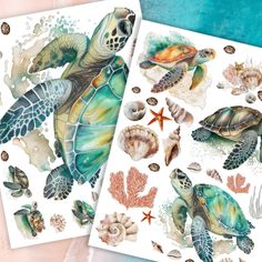 two watercolor paintings of sea turtles and seashells