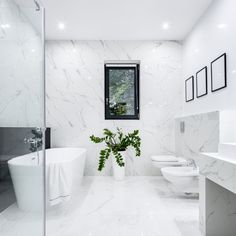 a bathroom with white marble walls and flooring has a plant in the middle of the bathtub