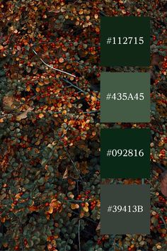 the number of leaves is displayed in green and red colors, along with an image of berries