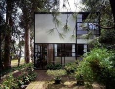 the house is surrounded by trees and plants