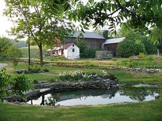 a small pond in the middle of a grassy area next to a barn and trees