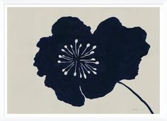 a black flower with white petals is shown in a framed frame on a wall or floor