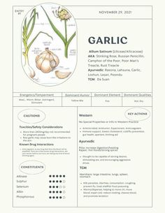 a resume with an image of garlic on the front and back cover, as well as text