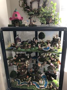 a display case filled with lots of different types of plants and figurines on top of glass shelves