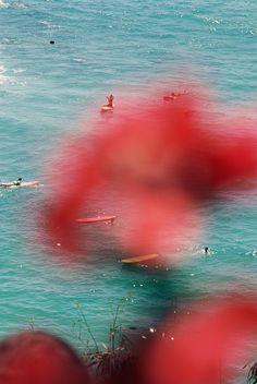 blurry image of people in the ocean with surfboards and paddles behind them