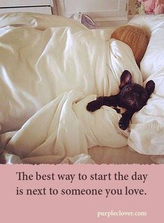 a black dog laying in bed under a blanket with the caption, the best way to start the day is next to someone you love