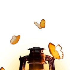 a lantern with butterflies flying around it