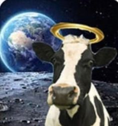 a cow with an angel halo on its head standing in front of the moon and earth