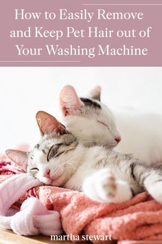 two cats sleeping on top of pink towels with the title how to easily remove and keep pet hair out of your washing machine