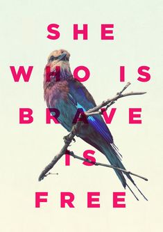 a bird sitting on top of a tree branch with the words he who is brave is free