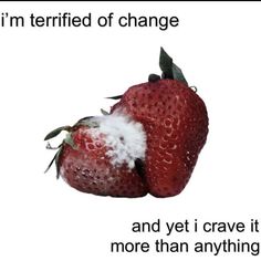 two strawberries with the words i'm terrified of change and yet i crave it more than anything