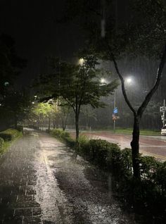 a rainy night in the park with street lights and trees on either side of the road