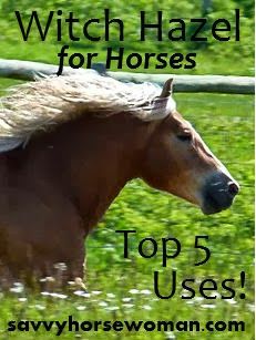 a brown horse standing on top of a lush green field