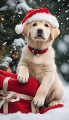 a puppy wearing a santa hat sitting in the snow