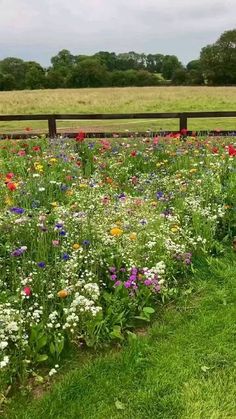 a field full of colorful flowers next to a wooden fence in the middle of nowhere