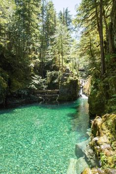 the water is crystal clear and green in this area with rocks, trees, and mossy ground