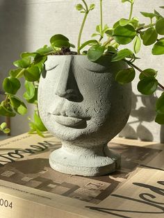 a potted plant in the shape of a face on top of a cardboard box