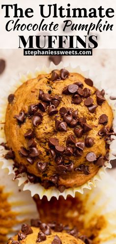 the ultimate chocolate pumpkin muffins recipe is so easy to make