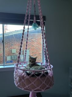 a cat sitting in a pink hammock hanging from a window sill,