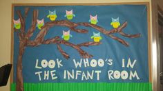 a bulletin board with owls sitting on top of it and the words look who's in the inflant room