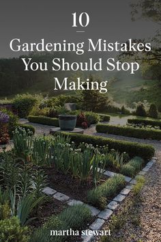 an image of a garden with the title 10 gardening mistakes you should't stop making