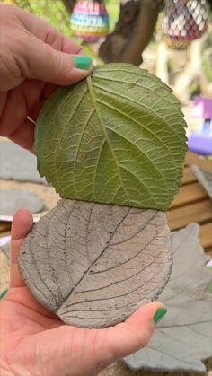 a person holding a green leaf in their hand