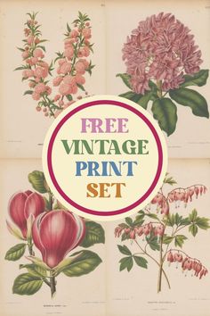 an old book with flowers and leaves on the cover that says free vintage print set