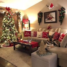 a dog is sitting on the couch in front of christmas decorations and a christmas tree