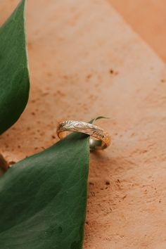 This bold stacking band features a floral pattern and is designed to stand the test of time. She's bold + feminine all at the same time, just how we like it. Floral pattern band is 4mm wide Available in 14kt Gold Fill + Sterling Silver. Our jewelry is handmade so each piece will be unique and may vary slightly from what is pictured. Backdrops Necklace, Second Piercing, Zodiac Rings, Hoop Charms, Stacking Bands, Black Sapphire, Jewelry Case, Be Unique, Earring Backs