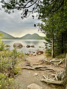 a path leading to the water with rocks and trees on both sides in front of it