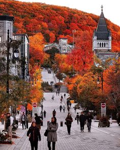 Autumn Mont Royal Montreal, Chocolate Color, Street Photographers, Quebec City