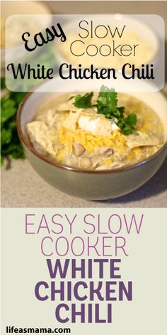 easy slow cooker white chicken chili recipe