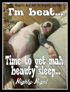 a dog laying on top of a bed with the caption i'm beat time to get mah beauty sleep