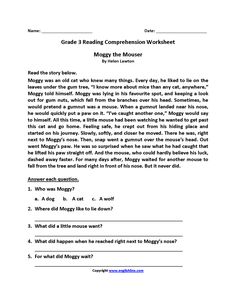 the reading worksheet for grade 3 students to learn how to read and write