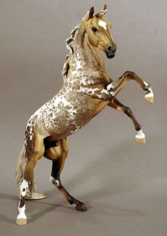 a brown and white horse standing on its hind legs in front of a gray background