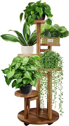 three tiered wooden plant stand with plants on it