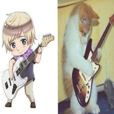 two pictures one with a cat and the other with an electric guitar