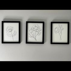 three black and white framed flowers on a wall