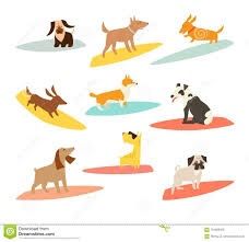 different types of dogs on the beach